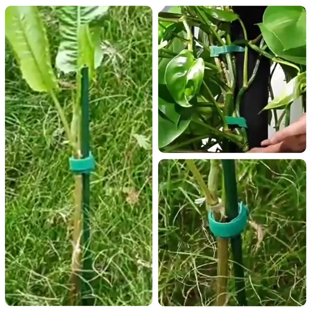 100 attaches pour plantes en n - Velcro Hook Loop avis et prix